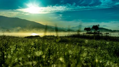 Breathtaking Sunrise Over Dewy Fields wallpaper