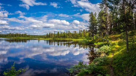Tranquil Lakeside Reflection wallpaper