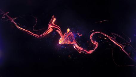 Experiment dark background wallpaper