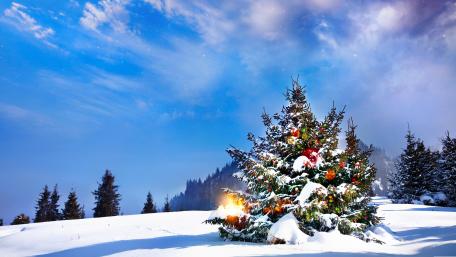 Outside decorated Christmas tree wallpaper