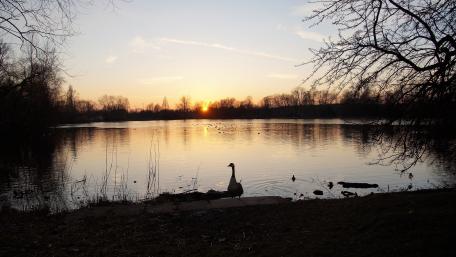 Sonnenuntergang am Nordpark wallpaper