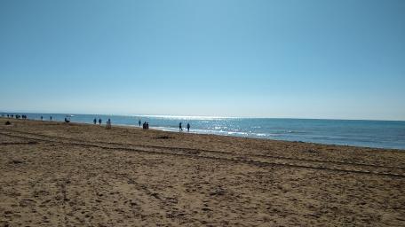 Serene Summer Beach Escape wallpaper