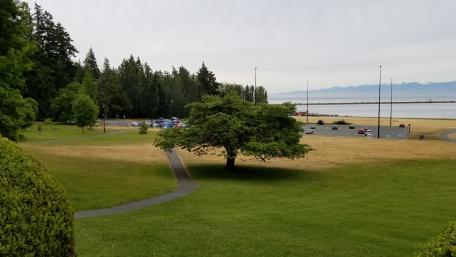 Serene Park by the Shoreline View wallpaper