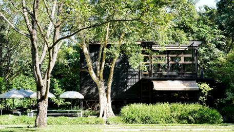 Coffee shop in the forest. wallpaper