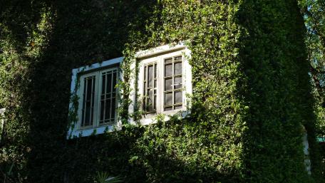 The nature hotel. wallpaper