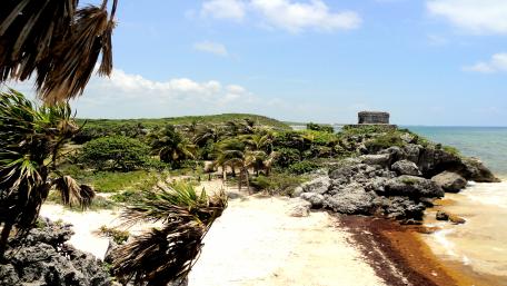 Mexican Beach wallpaper