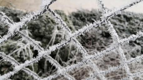Frozen fence wallpaper