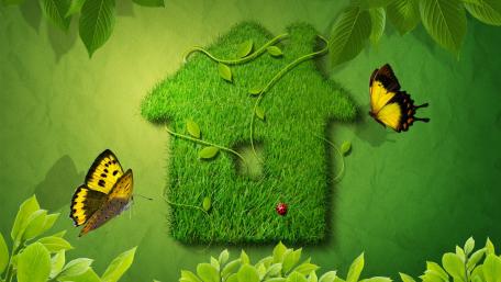 Eco-Friendly Home Logo with Nature Elements wallpaper