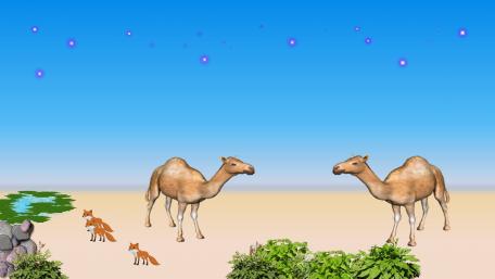 Dromedary wallpaper