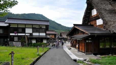Charming Village Pathway Surrounded by Nature wallpaper