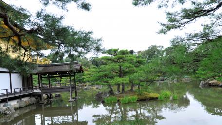 Serene Cityscape with Lush Greenery and Tranquil Waters wallpaper
