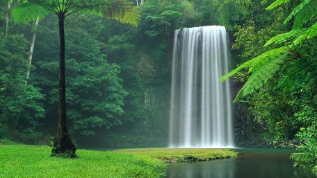 Millaa Millaa Falls wallpaper