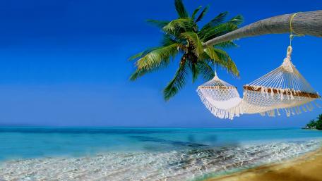 Tropical Bliss Under the Summer Sky wallpaper