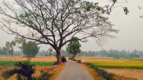 Village Road wallpaper