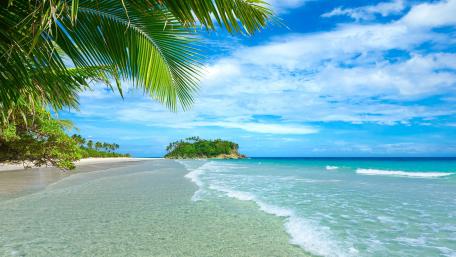 Tropical Paradise Beach Escape wallpaper