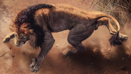 Angry lion wallpaper