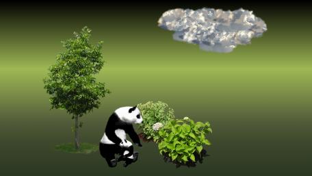 Pandas wallpaper