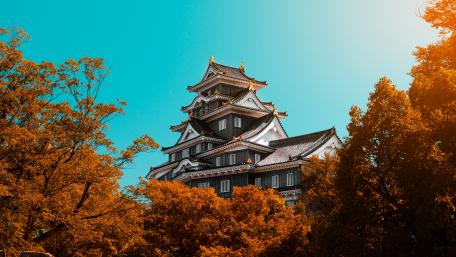 Okayama Cstle, Japan wallpaper
