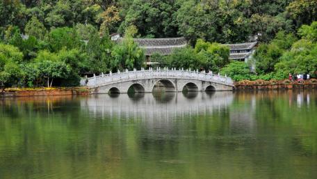 Serene Reflection of Nature in a City Park wallpaper