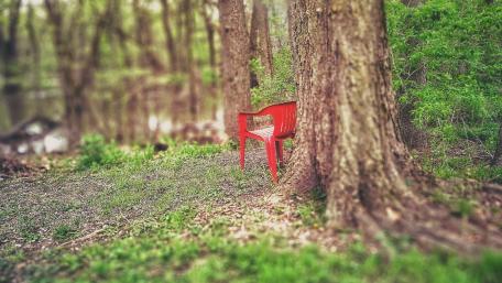 Red Chair of the Woods wallpaper