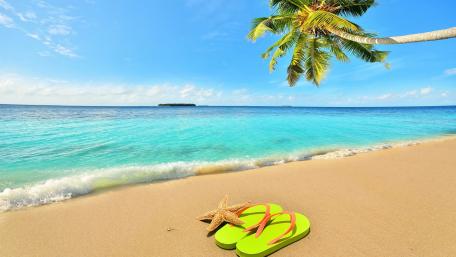 Flip flop on the beach wallpaper