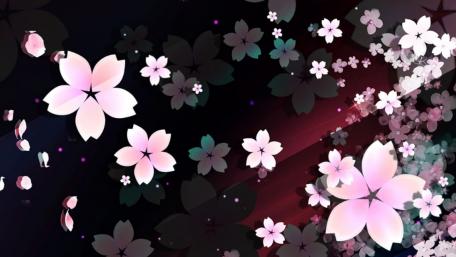 Pink cherry blossoms wallpaper