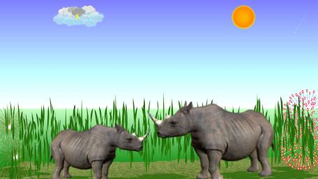 Rhinoceros wallpaper