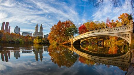 Bow Bridge wallpaper