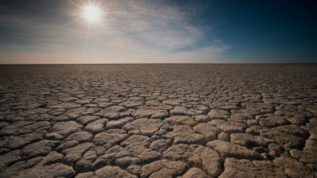 Desert wallpaper