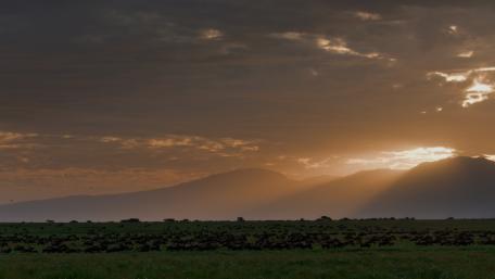 Serene Sunset Over Majestic Fields wallpaper