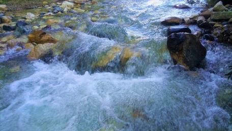 The River wallpaper