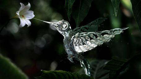 Steampunk mechanical hummingbird wallpaper