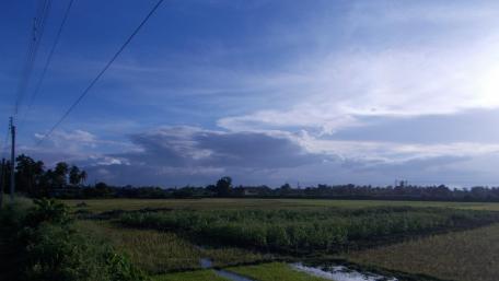 Peaceful nature...…….. wallpaper