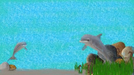 Dolphins wallpaper