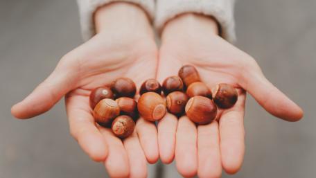Autumn's Bounty in the Hands of Nature wallpaper