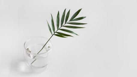 Simplicity in Green and White wallpaper