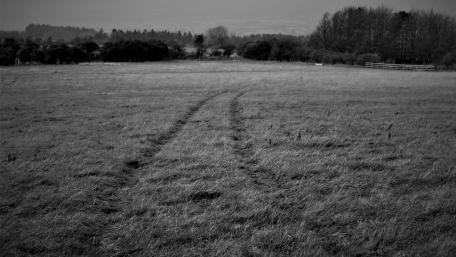 Empty Meadow with Tire Tracks in Monochrome Mood wallpaper
