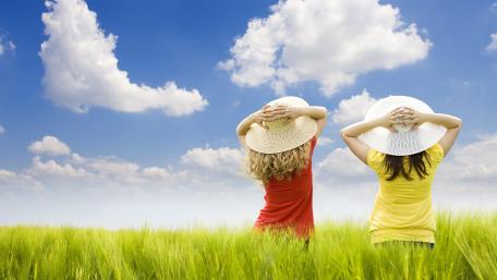 Summer Bliss in a Field wallpaper