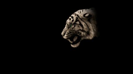Green-eye cool Tiger wallpaper