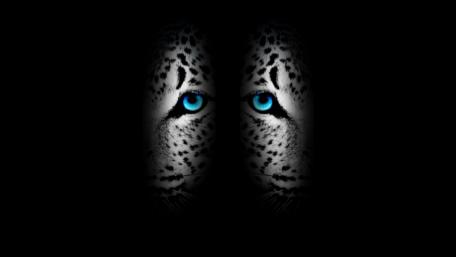 Dark-Blue abstract jaguar wallpaper