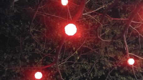 Night light wallpaper