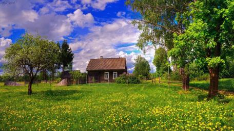 Serene Cottage in Blooming Countryside wallpaper