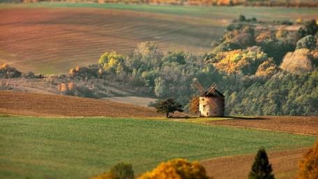 Serene Countryside Windmill View wallpaper