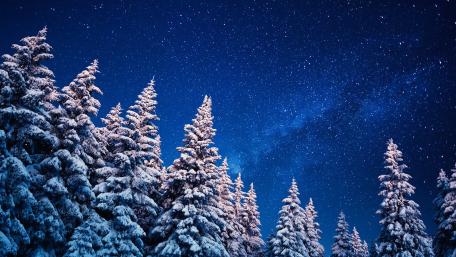Starry Winter Night Sky Over Snowy Pines wallpaper