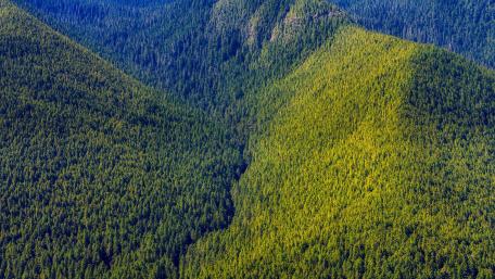 Lush Green Mountain Valley Landscape wallpaper