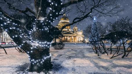 Winter Wonderland Glow wallpaper