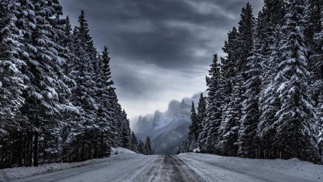 Winter's Silent Passage wallpaper
