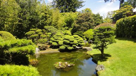 Serene Japanese Garden Oasis wallpaper