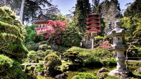 Serenity in a Japanese Garden Retreat wallpaper