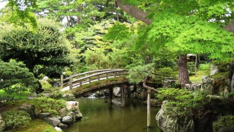 Serene Garden Bridge Over Tranquil Waters wallpaper
